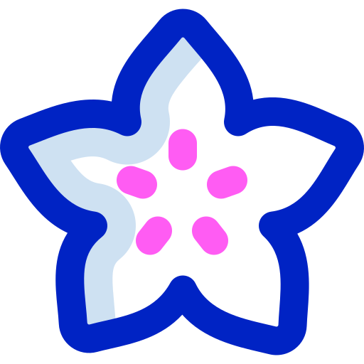 스타 과일 Super Basic Orbit Color icon