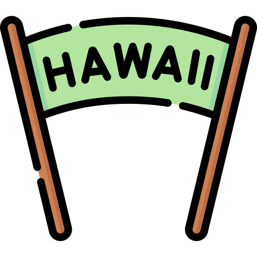 hawai Special Lineal color icono