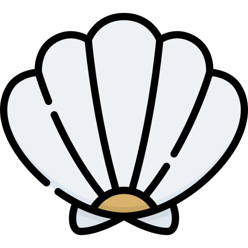 Seashell Special Lineal color icon