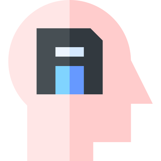 Memory Basic Straight Flat icon