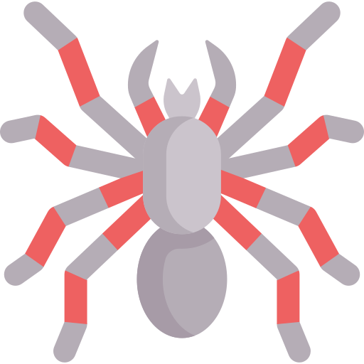tarantula Special Flat ikona