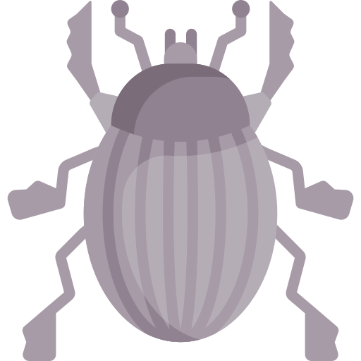 Beetle Special Flat icon