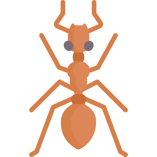 Ant Special Flat icon
