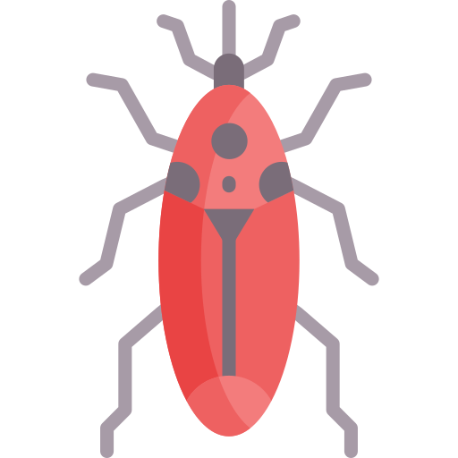 Insect Special Flat icon