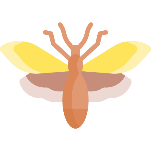 Moth Special Flat icon
