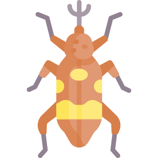 甲虫 Special Flat icon