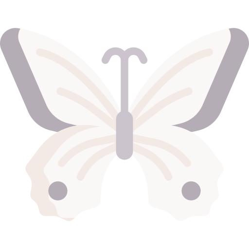 borboleta Special Flat Ícone