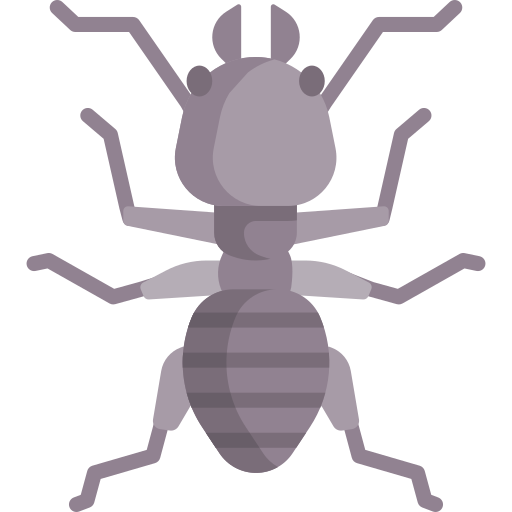 Insect Special Flat icon