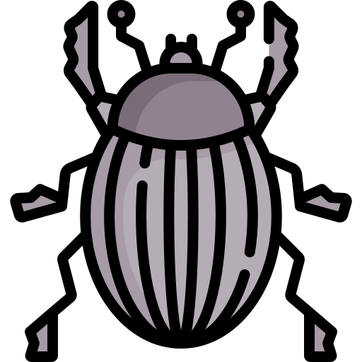escarabajo Special Lineal color icono