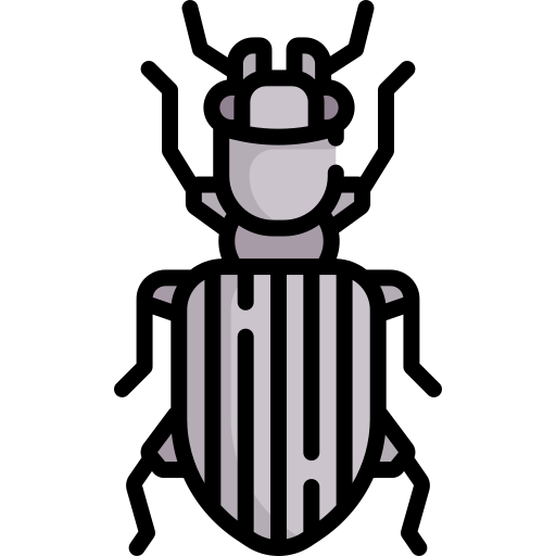 곤충 Special Lineal color icon