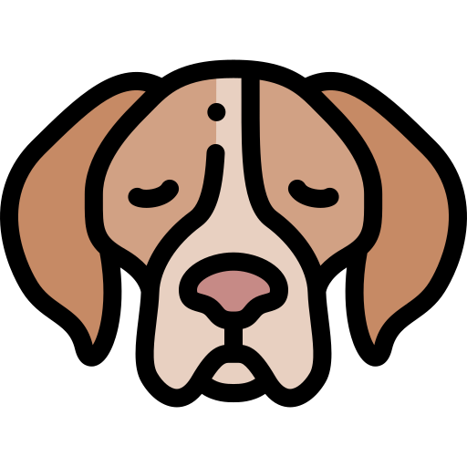 cão de caça Detailed Rounded Lineal color Ícone