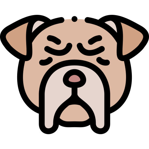 Pug Detailed Rounded Lineal color icon
