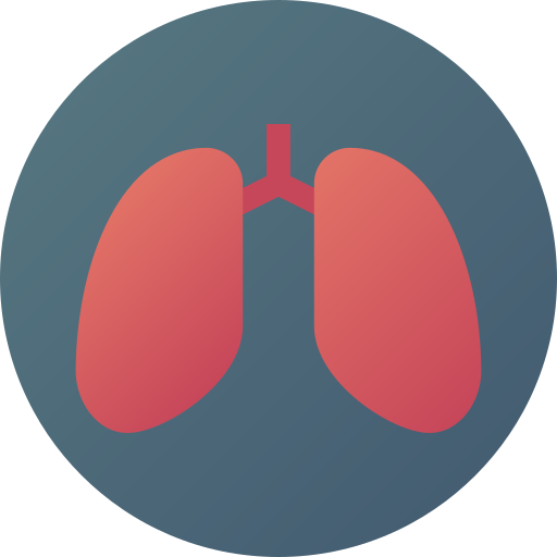 Lungs Flat Circular Gradient icon