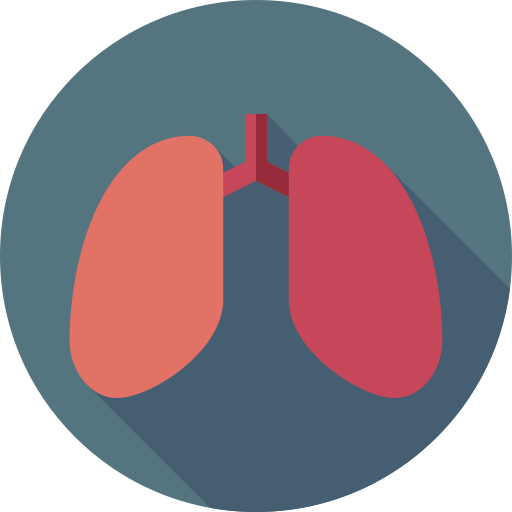 肺 Flat Circular Flat icon