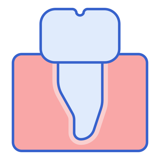 小臼歯 Flaticons Lineal Color icon