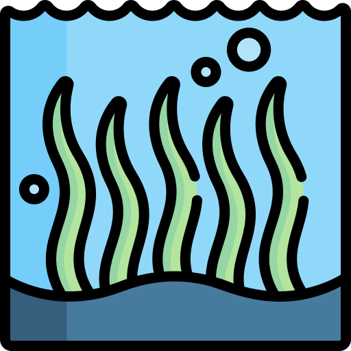 alga marina Special Lineal color icona