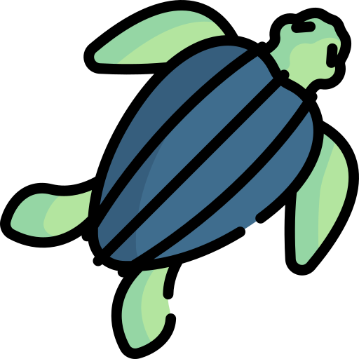Черепаха Special Lineal color иконка