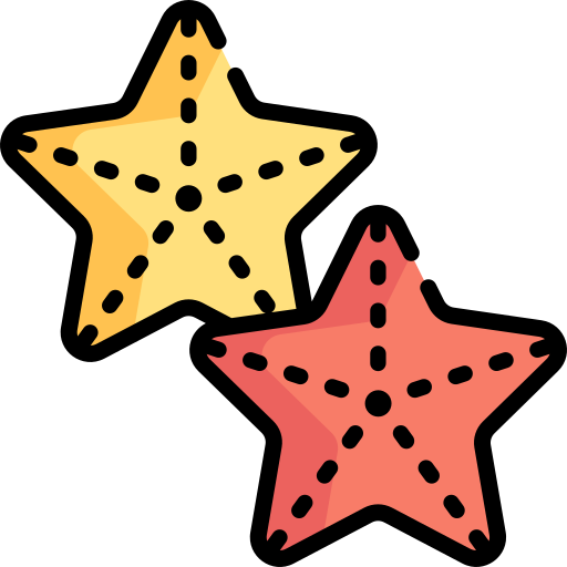 Морская звезда Special Lineal color иконка