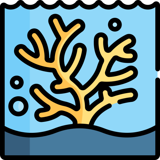 coral Special Lineal color icono