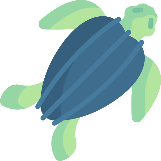 Tortuga Special Flat icono