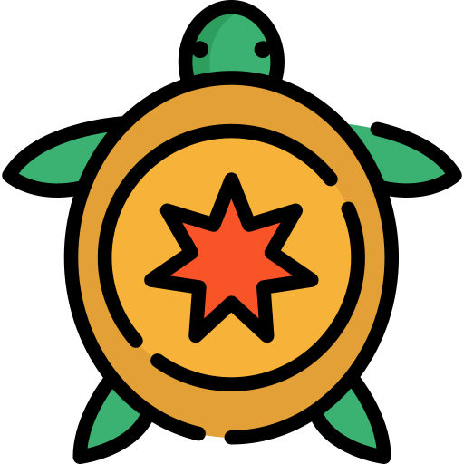 Turtle Special Lineal color icon