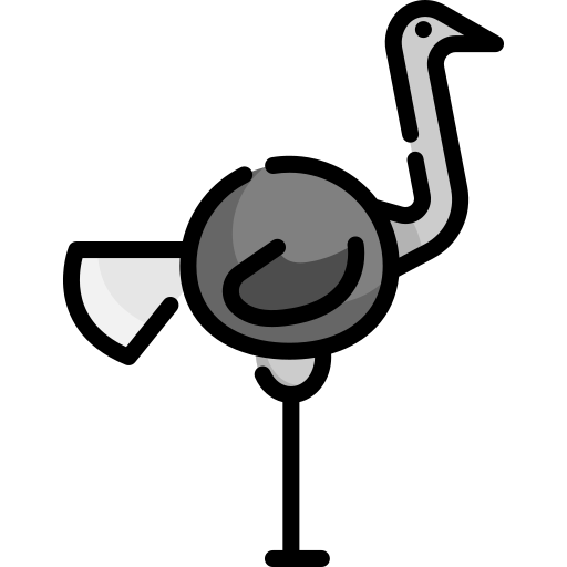 avestruz Special Lineal color icono