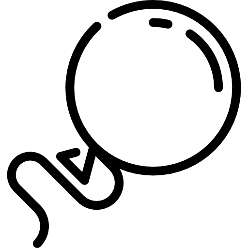 ballon Special Lineal icon
