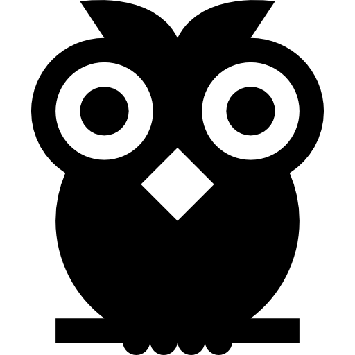 búho Basic Straight Filled icono
