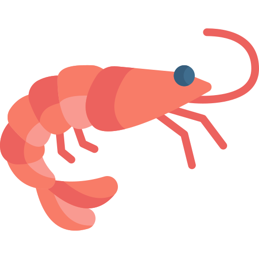 Shrimp Special Flat icon