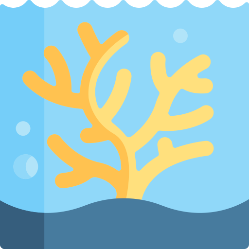 Coral Special Flat icon