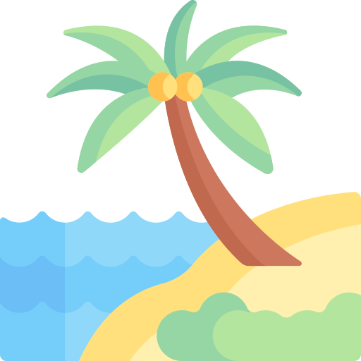 Playa Special Flat icono