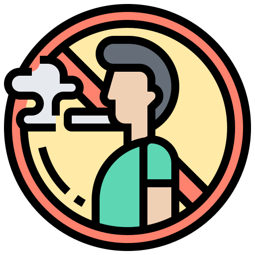 vietato fumare Meticulous Lineal Color icona