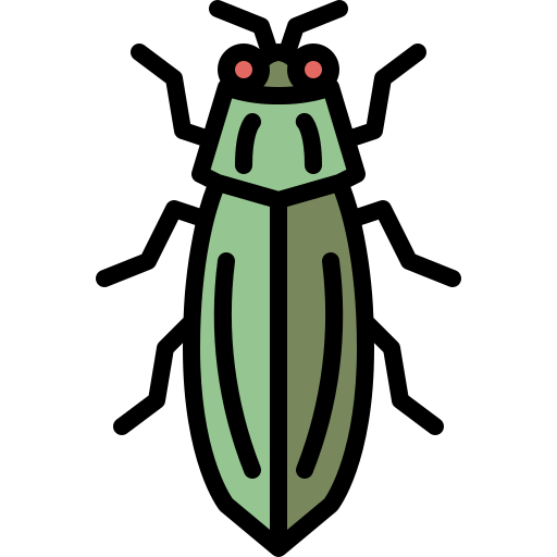 甲虫 Generic Outline Color icon