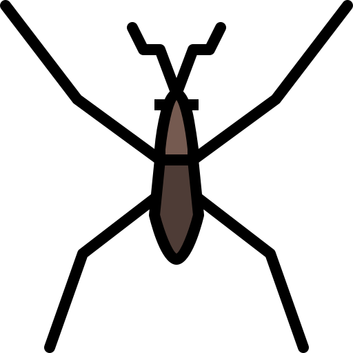 タガメ Generic Outline Color icon