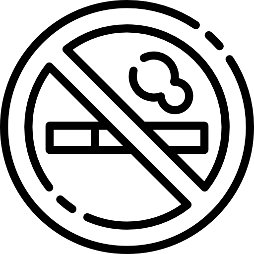 No smoking Special Lineal icon