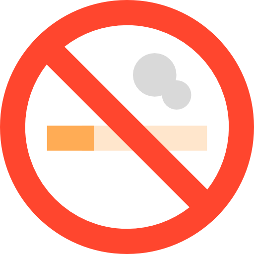 no fumar Special Flat icono
