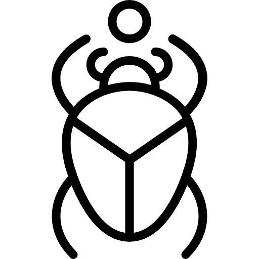 skarabeusz Basic Miscellany Lineal ikona
