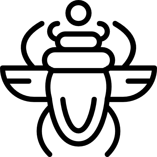 skarabäus Basic Miscellany Lineal icon