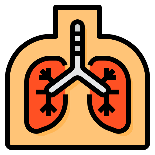 肺 itim2101 Lineal Color icon