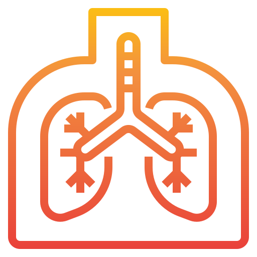 Lung itim2101 Gradient icon