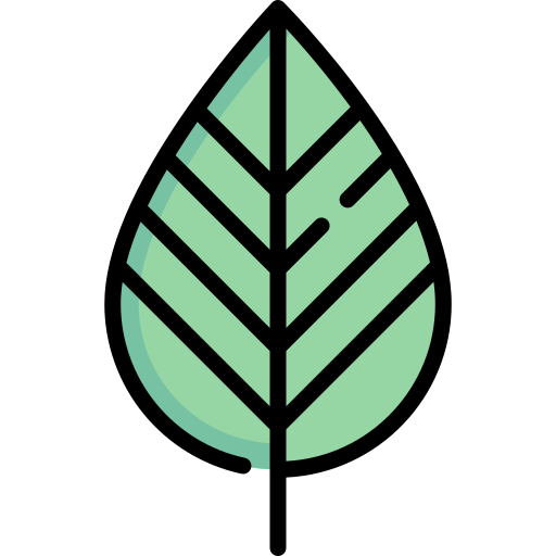 Leaf Special Lineal color icon