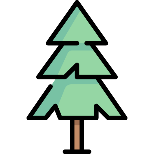 Spruce Special Lineal color icon