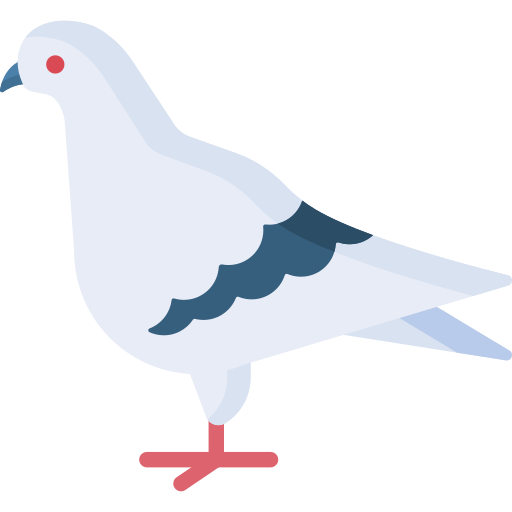 Pigeon Special Flat icon