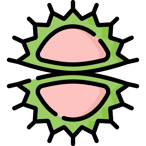 Carnivorous plant Special Lineal color icon