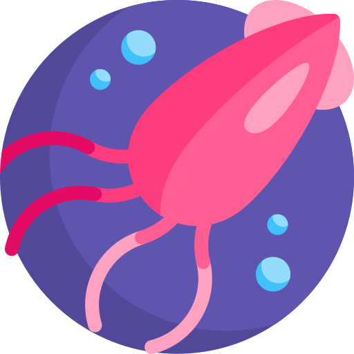 calamar Detailed Flat Circular Flat icono