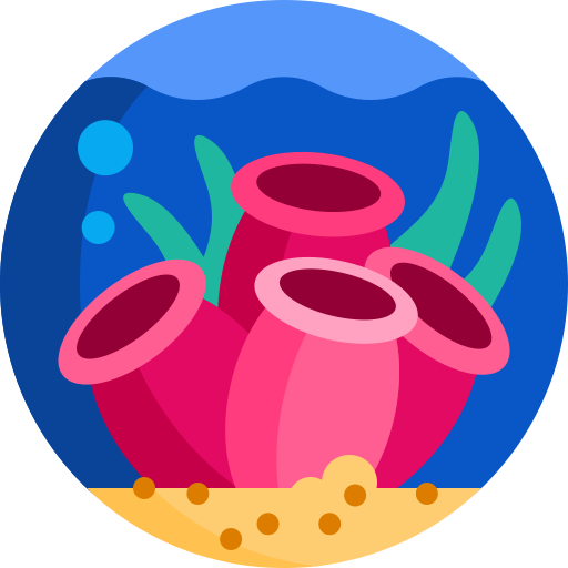 산호 Detailed Flat Circular Flat icon