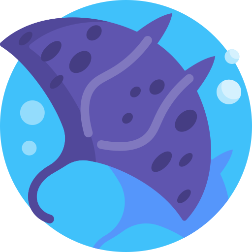 Manta ray Detailed Flat Circular Flat icon