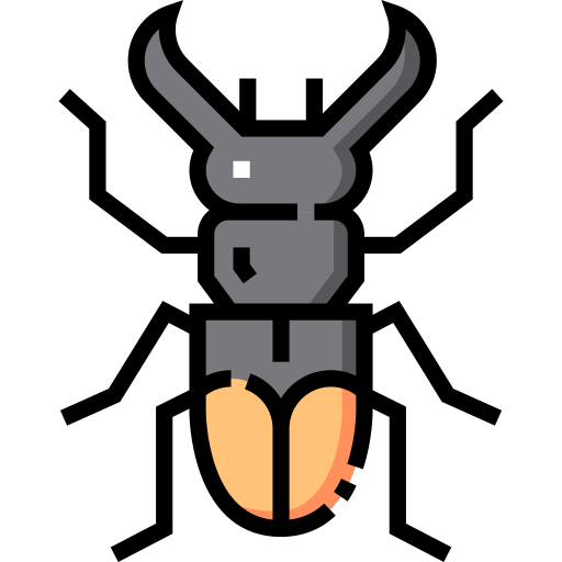 Stag beetle Detailed Straight Lineal color icon