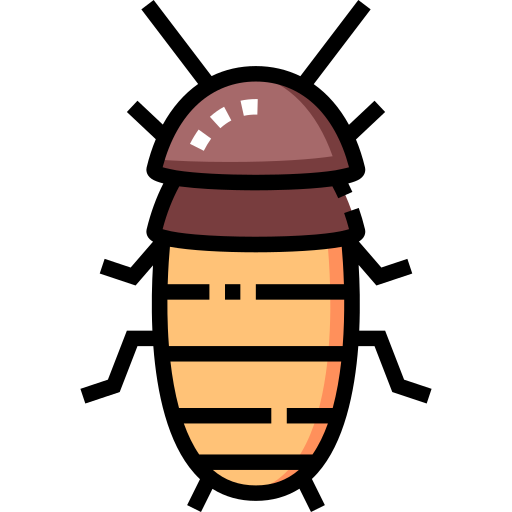 cucaracha silbante de madagascar Detailed Straight Lineal color icono