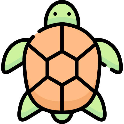Turtle Special Lineal color icon
